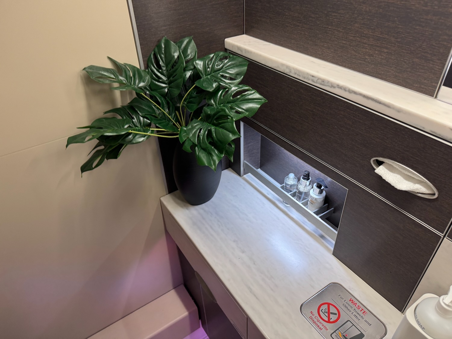 a plant in a vase on a counter