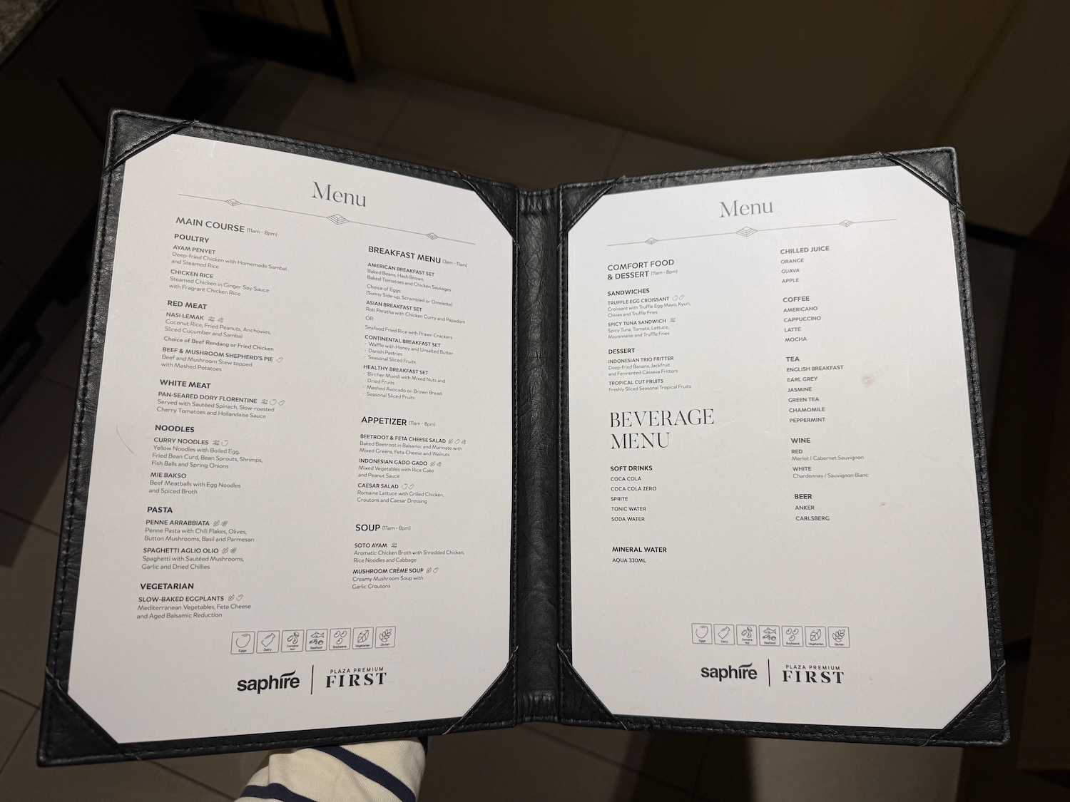 a hand holding a menu