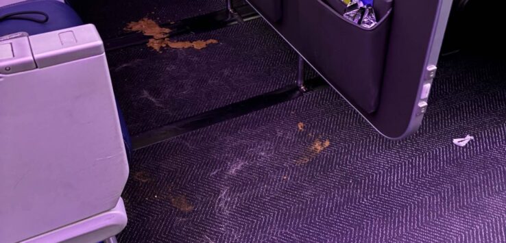 service dog poop