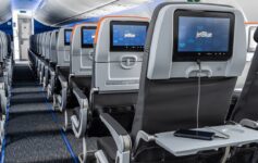 JetBlue dog onboard