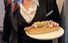 SWISS First Class hot dog