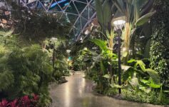 Doha Hamad International Airport layover