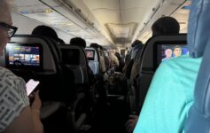 service dog pacing airplane aisle