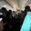 service dog pacing airplane aisle