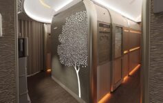 India First Class Trip