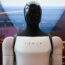 United Airlines robot ban