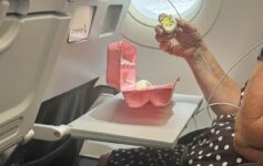 American Airlines hard-boiled eggs