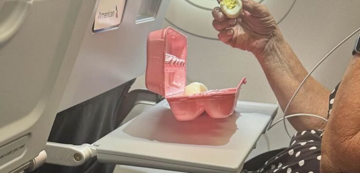 American Airlines hard-boiled eggs