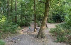 summer in Germany with kids