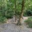 summer in Germany with kids